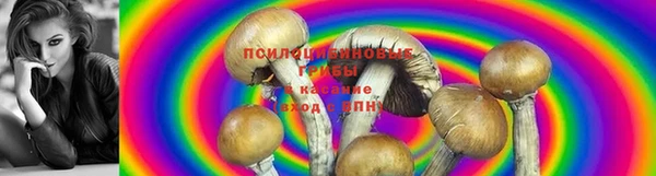 mdpv Бугульма