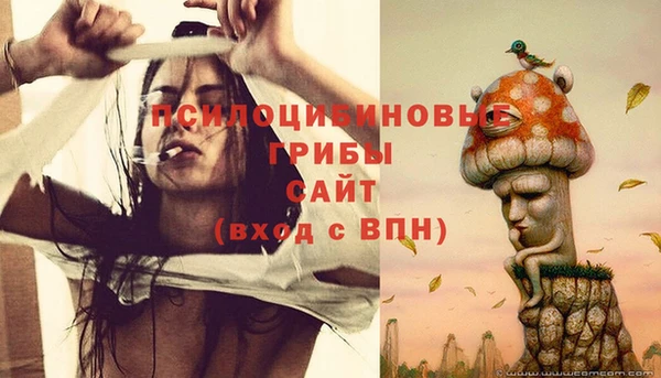 mdpv Бугульма