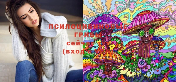 mdpv Бугульма