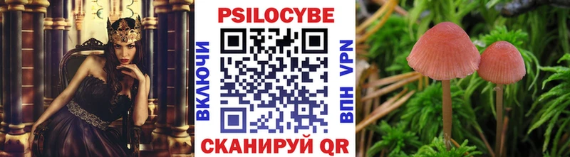 Галлюциногенные грибы Magic Shrooms  Купить где  Малая Вишера 