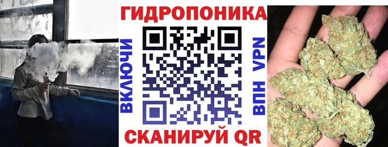 Купить  Малая Вишера  Шишки марихуана конопля 